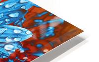 Sunflower Seeds HD Metal print