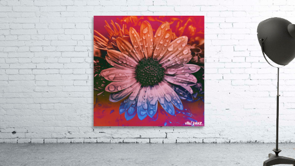 Sunflower Seeds Wall Preview