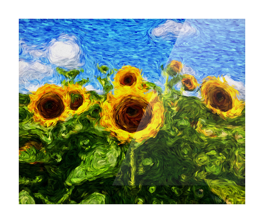Sunflowers Picture Frame print