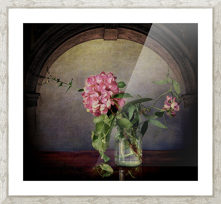 Hydrangea in glass Picture Frame print