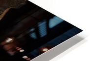 Venetian Vampire HD Metal print