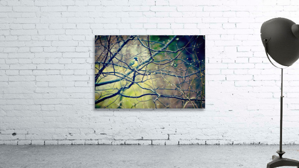 Tit on a tree branch Wall Preview
