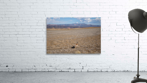 Desert Antelope Wall Preview