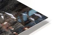 067A9899 Edit HD Metal print