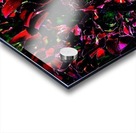 Playful Acrylic print