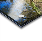 Reflextion Acrylic print