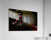 Gem Acrylic Print