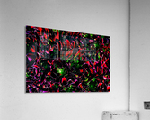 Playful Acrylic Print
