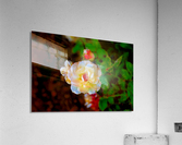 Rosie Acrylic Print