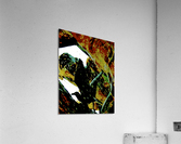 Go Acrylic Print