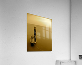 Home Acrylic Print