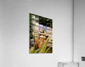 Travel Acrylic Print