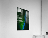 Peacock Acrylic Print