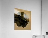 Reborn Acrylic Print