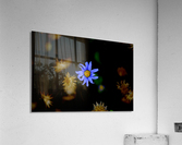 Frozen Acrylic Print