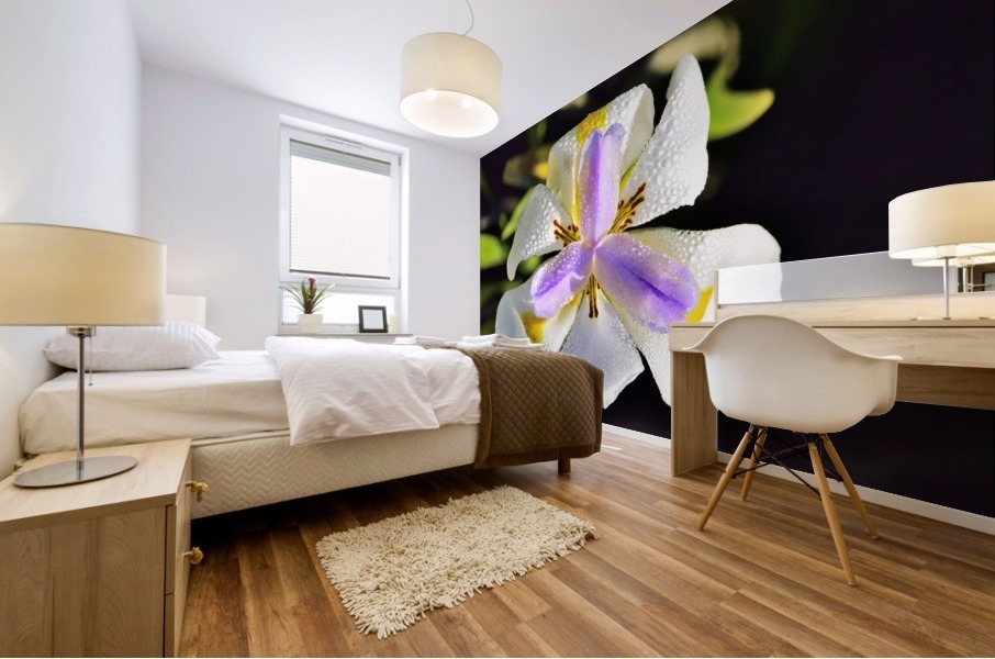 Good Morning Mural print