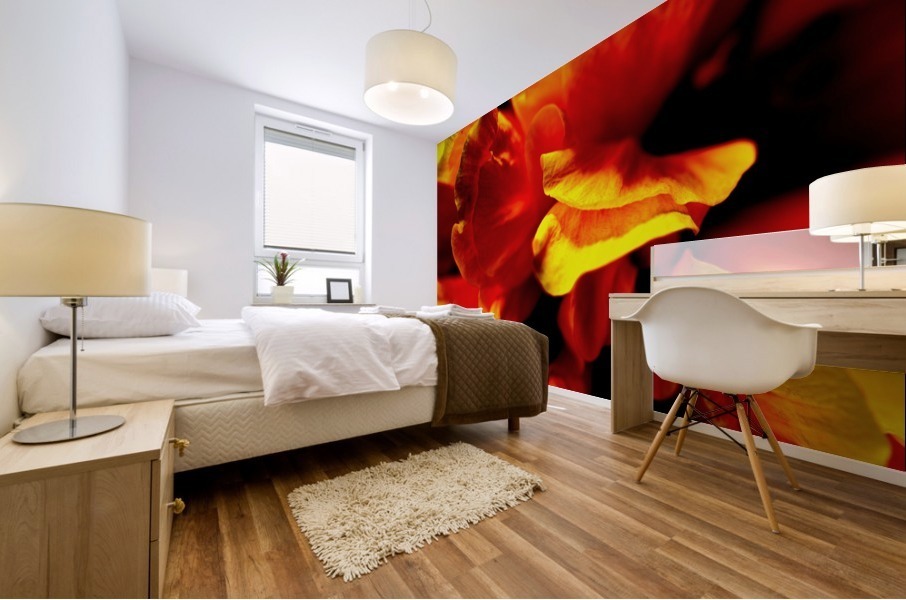 Silk Mural print