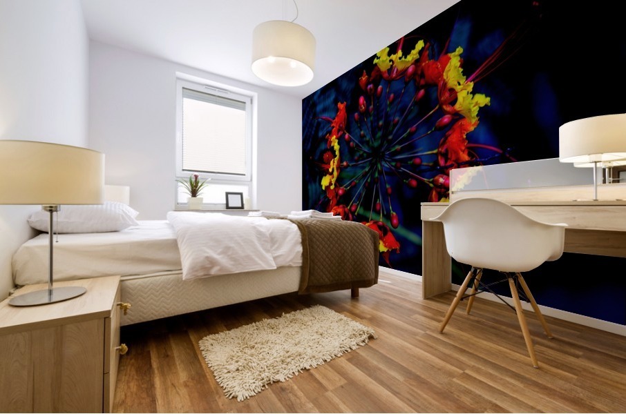 Supernovae Mural print