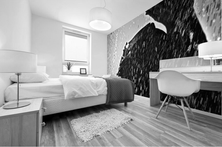 Cleanse Mural print