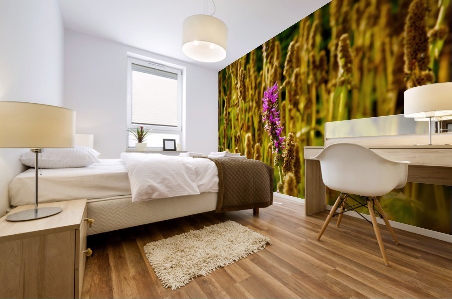 Show Off Mural print