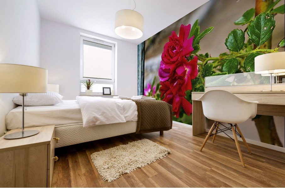 Windowless Mural print