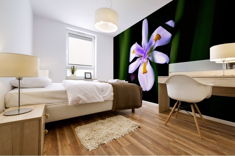 Award winning Mural print