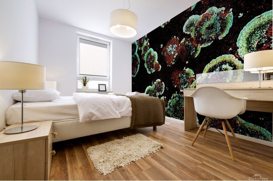 Lumi Mural print