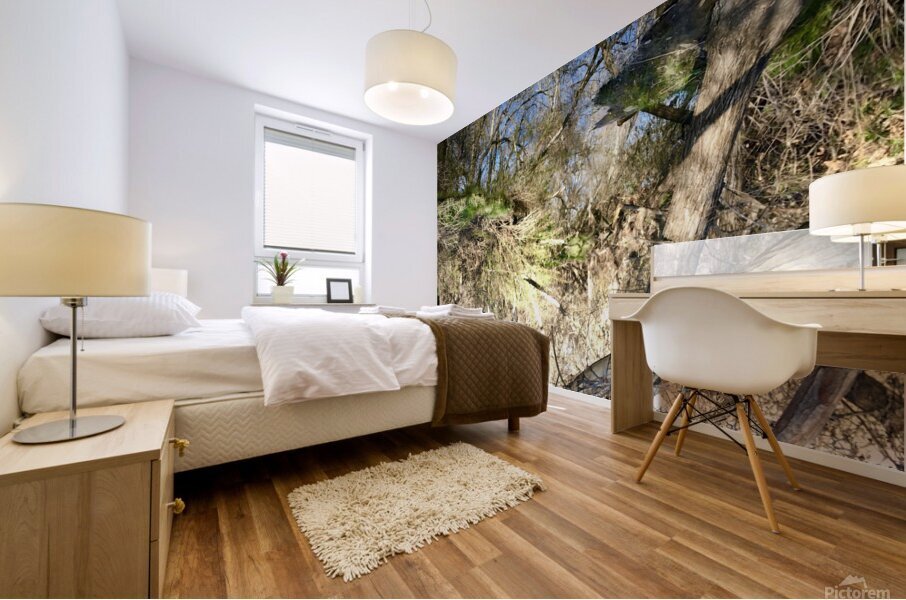 Reflextion Mural print