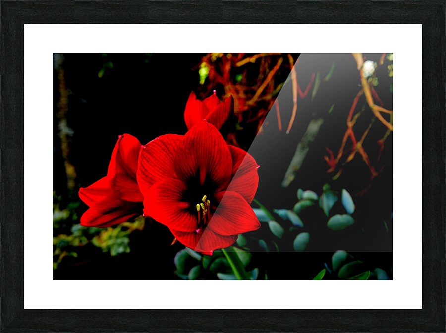 Family Picture Frame print