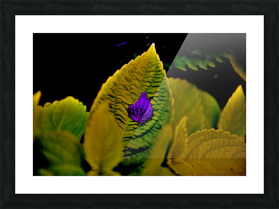 Cradle Picture Frame print