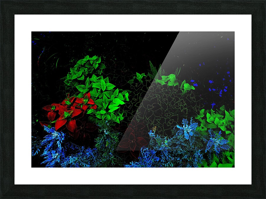Sea Picture Frame print