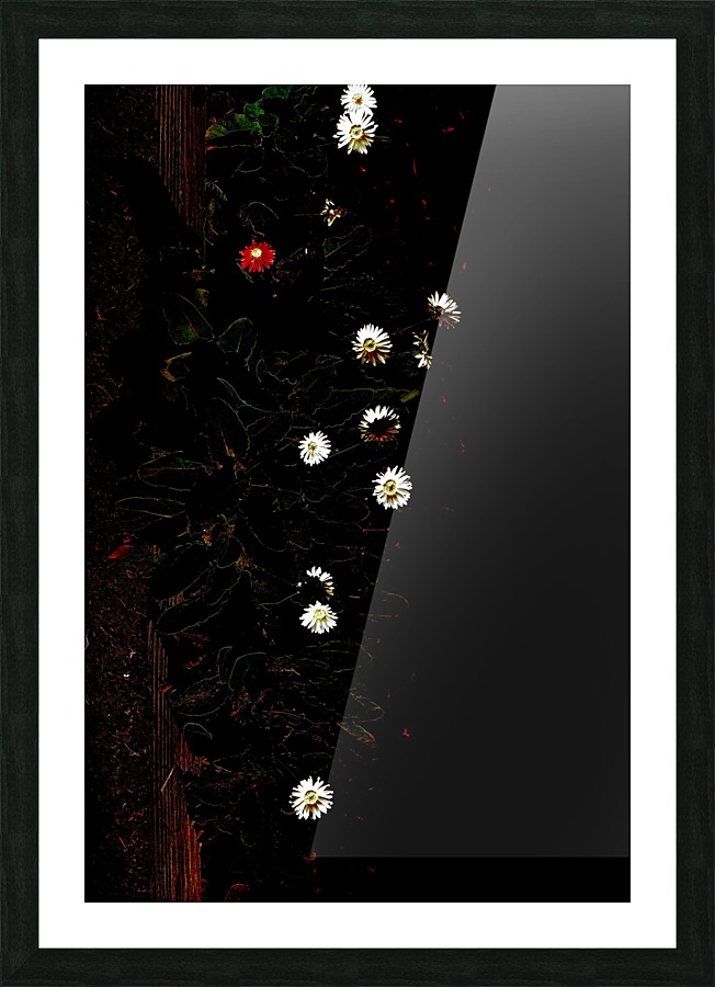 The Red One Picture Frame print