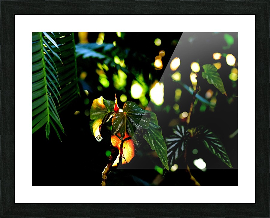 Fairytale Picture Frame print