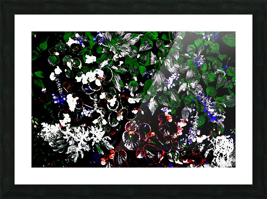 Contrast Picture Frame print