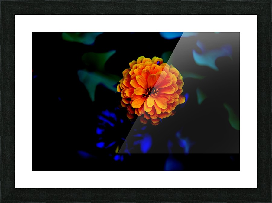 Peach Picture Frame print