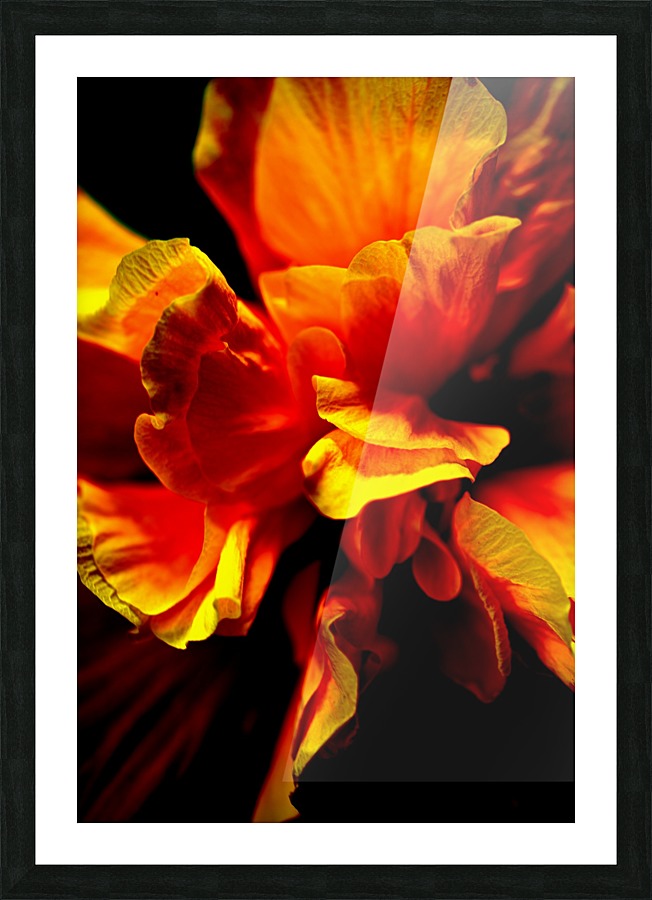 Silk Picture Frame print