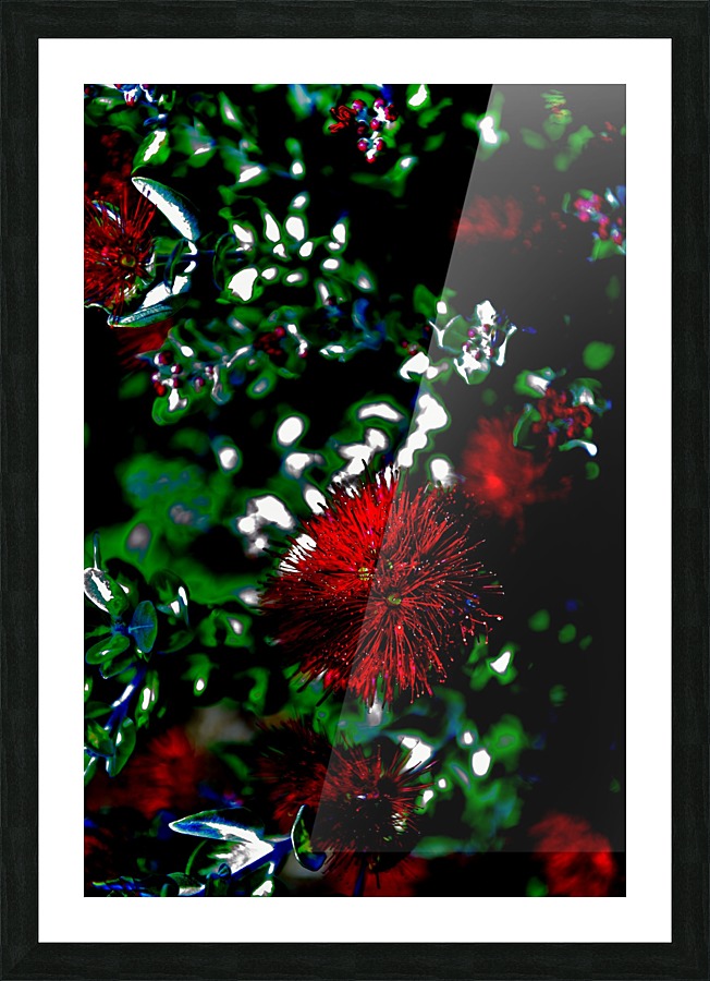 Red Picture Frame print