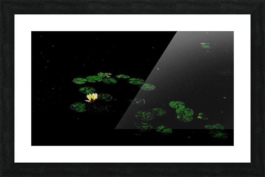 Floating Picture Frame print