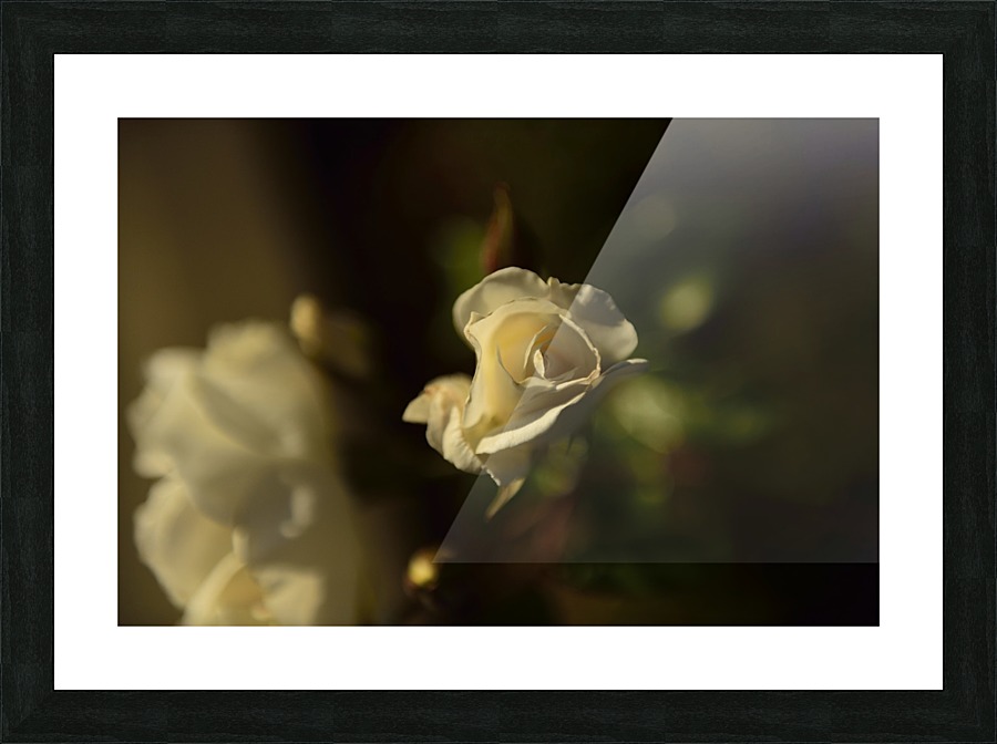 For You Picture Frame print