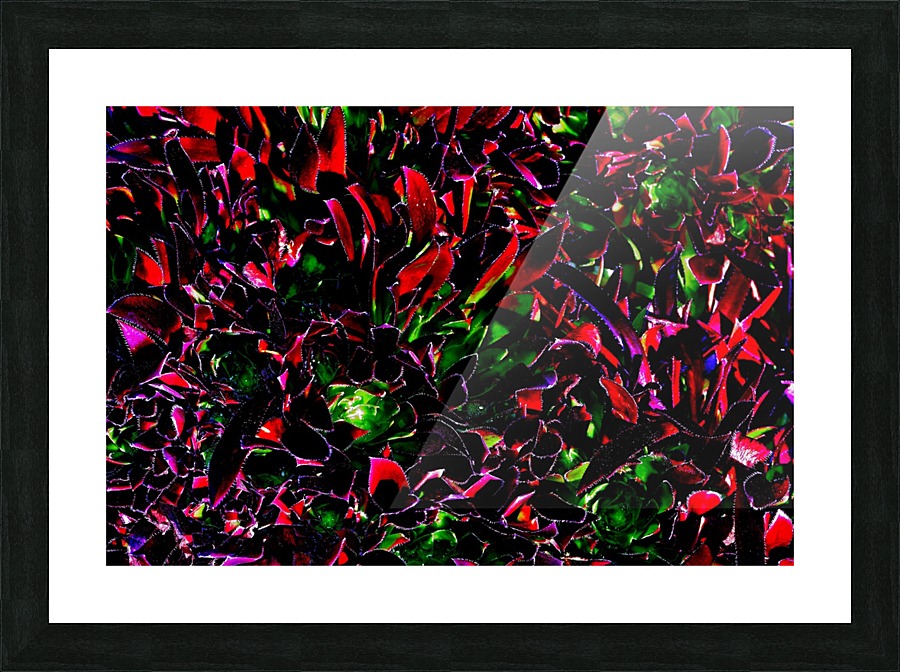 Playful Picture Frame print