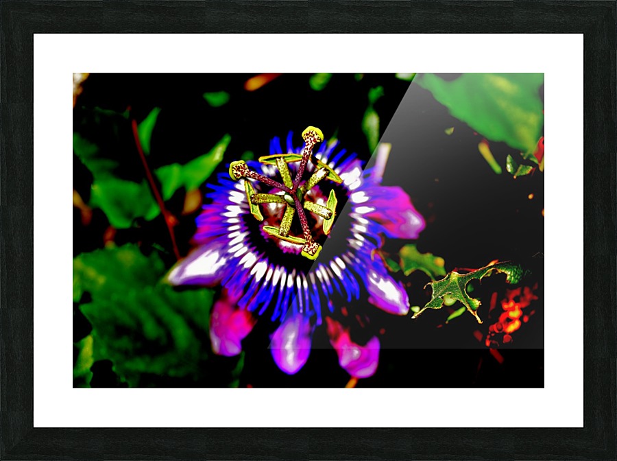 Crown Picture Frame print
