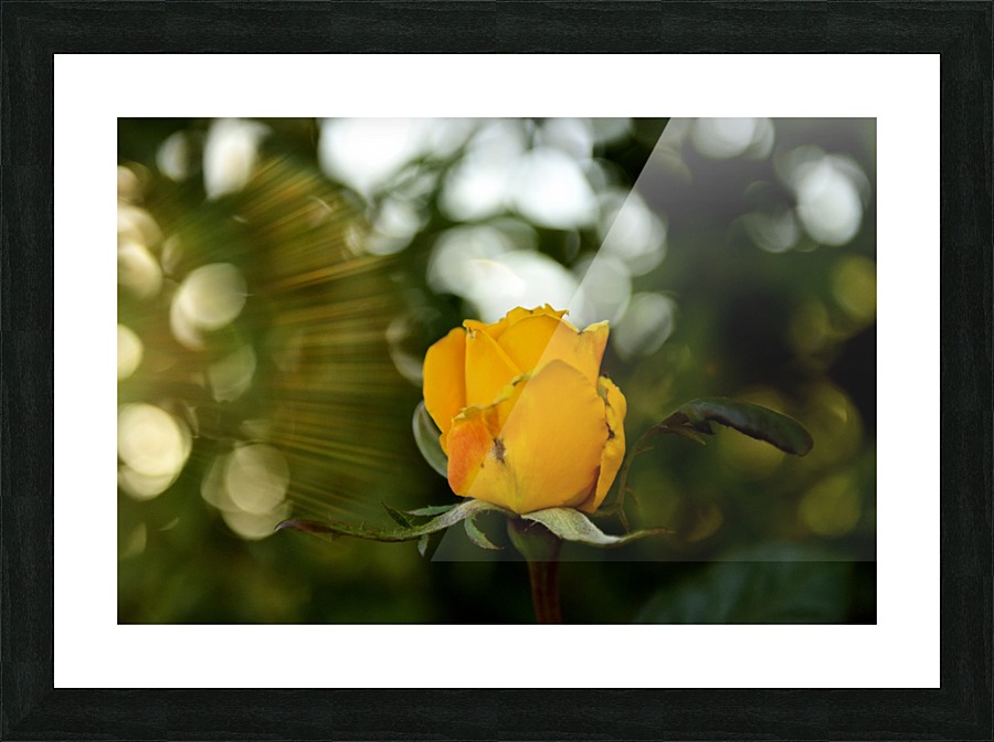 Standing in the light Picture Frame print