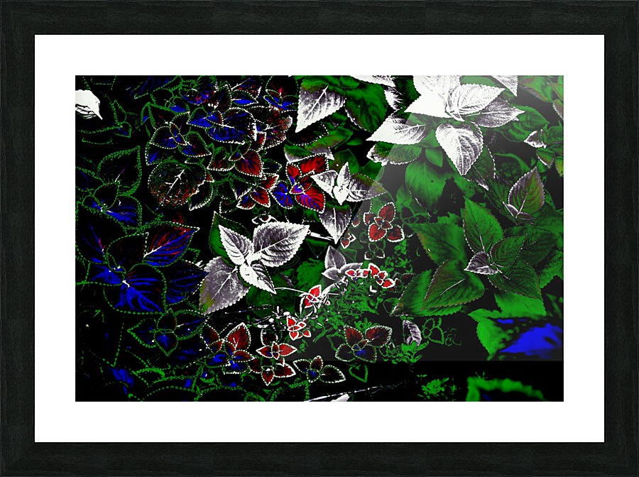 Silver Picture Frame print