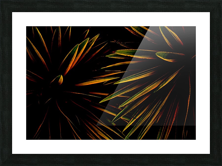 Together Picture Frame print