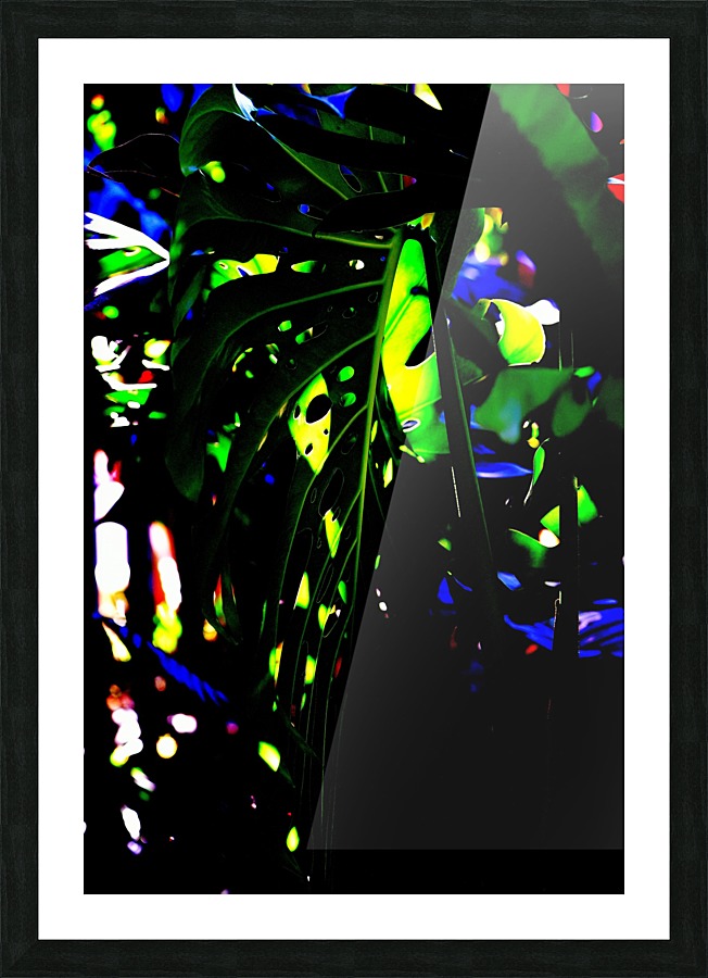 Color Picture Frame print