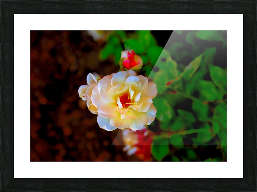 Rosie Picture Frame print