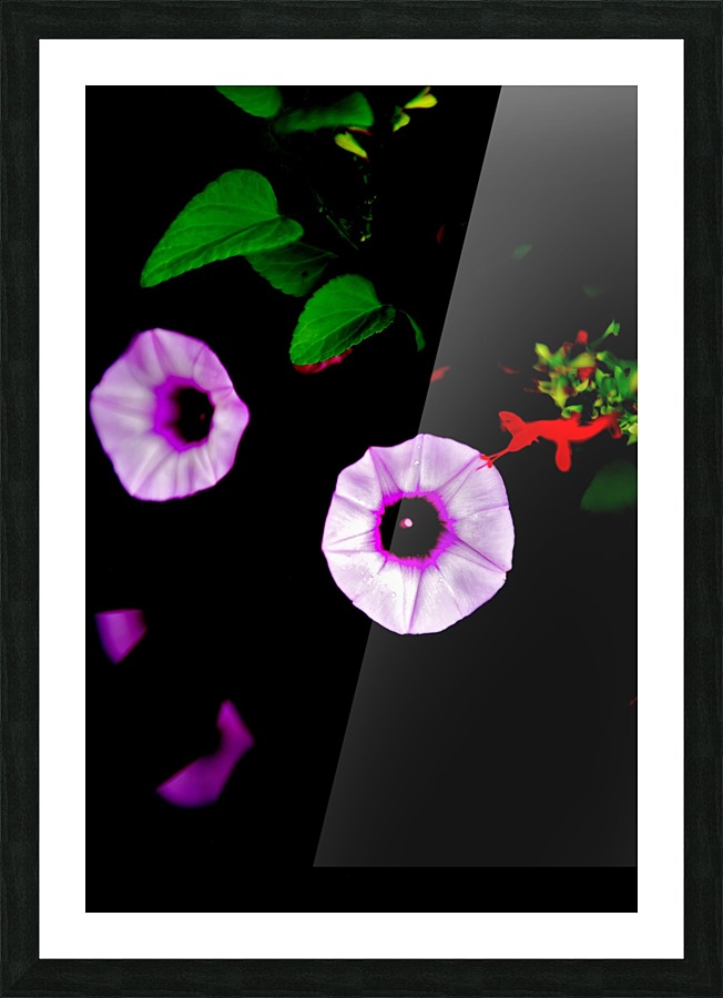 Velvet Picture Frame print