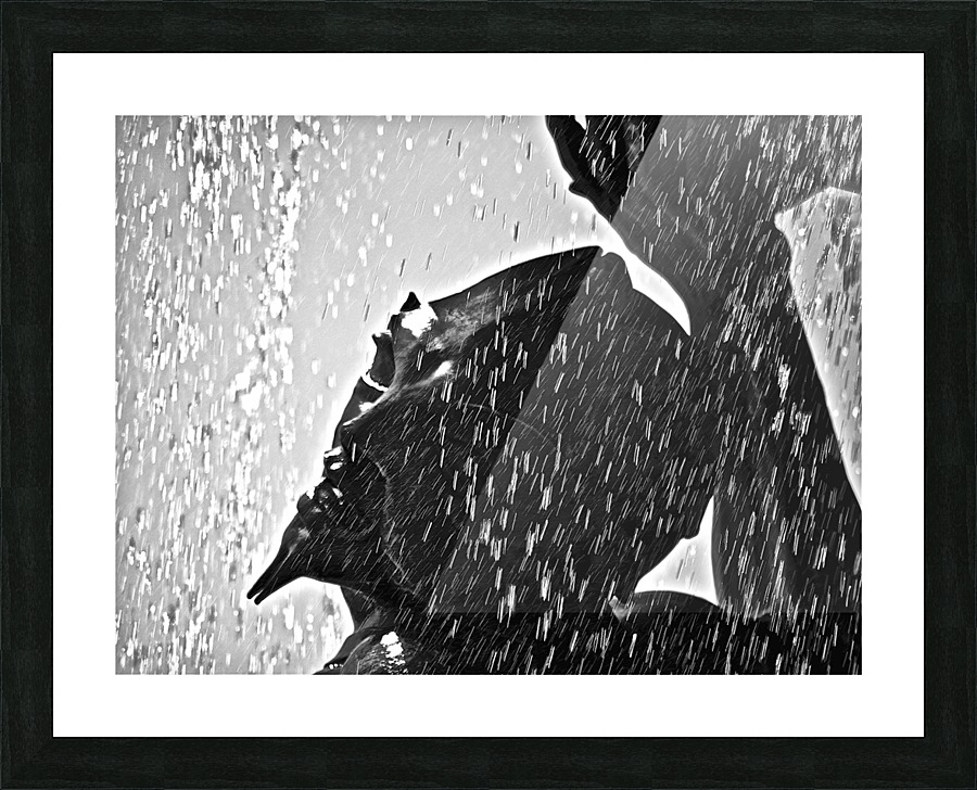 Cleanse Picture Frame print