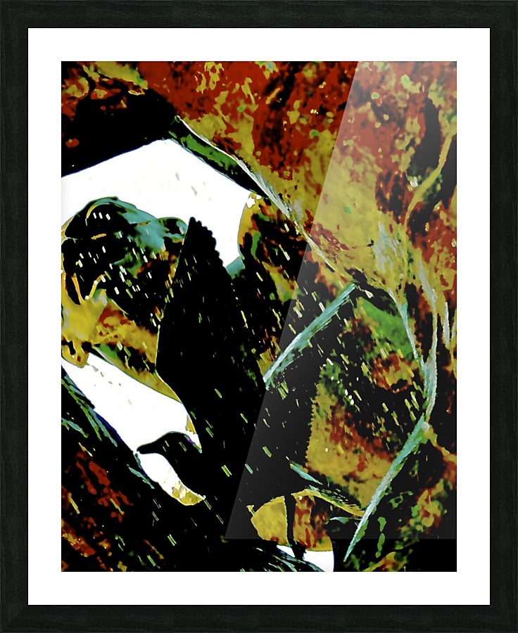 Go Picture Frame print