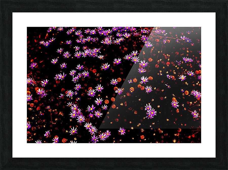 Starlight  Picture Frame print